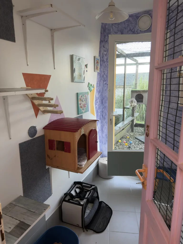 Jolie chambre confortable et spacieuse avec parc extérieur à la pension féline Chat Pacha en Dordogne, près de Perigueux.