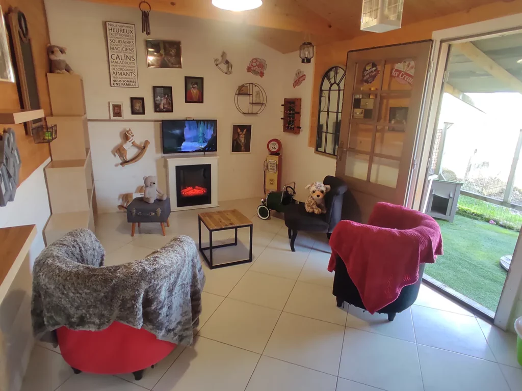 Superbe loft confortable et spacieux avec parc extérieur à la pension féline Chat Pacha en Dordogne, près de Perigueux.