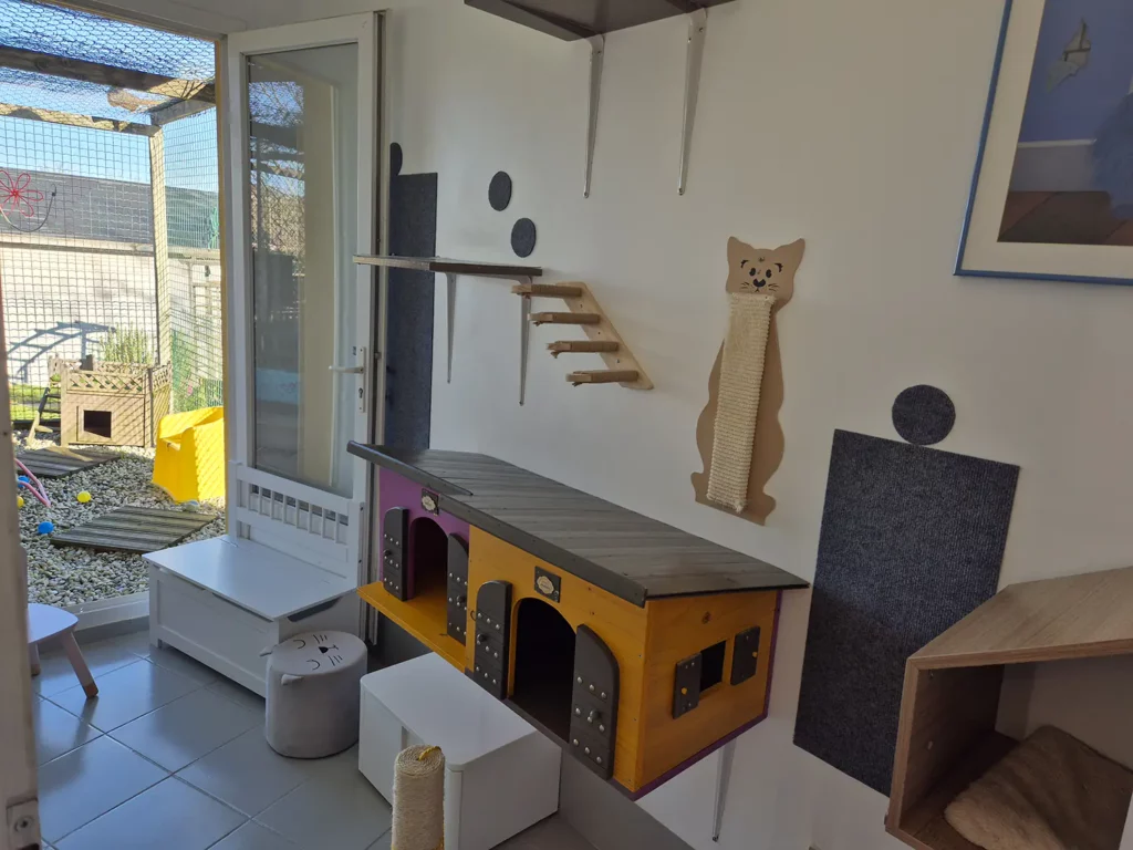 Jolie chambre confortable et douillette avec parc extérieur à la pension féline Chat Pacha en Dordogne, près de Perigueux.